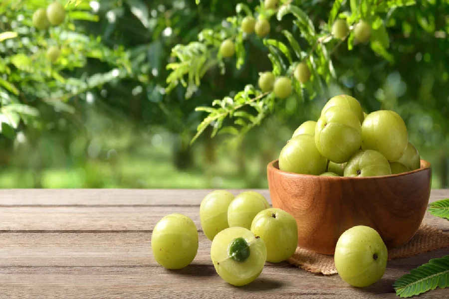 Amla Murabba Benefits for Health and Daily Wellness amla murabba benefits
